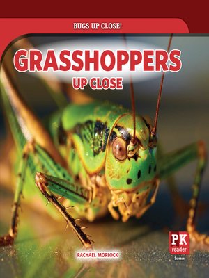 cover image of Grasshoppers Up Close